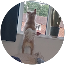 Anna Rosewell profile picture